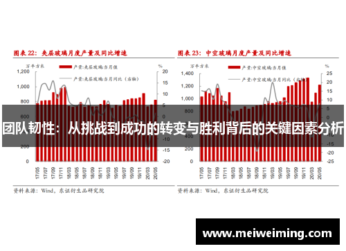 团队韧性：从挑战到成功的转变与胜利背后的关键因素分析