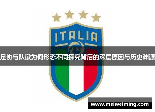 足协与队徽为何形态不同探究背后的深层原因与历史渊源